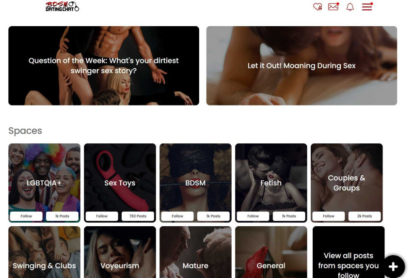 BDMS website Kategories, BDSM Chat